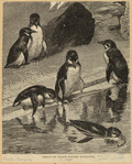 Image ID 821258