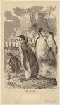 Image ID 821259