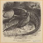 Image ID 821275