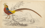 Image ID 821278
