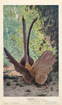 Image ID 821283
