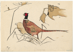 Image ID 821290