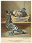 Image ID 821298