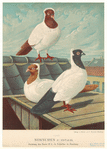 Image ID 821304