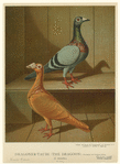 Image ID 821308
