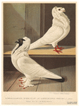 Image ID 821309