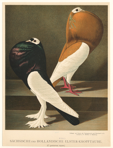 Image ID 821312