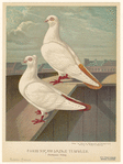 Image ID 821317