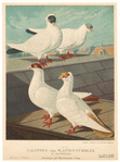 Image ID 821324