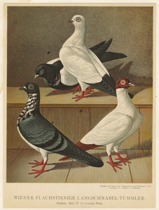 Image ID 821329