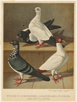 Image ID 821329
