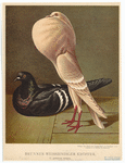 Image ID 821330