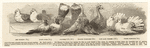 Image ID 821333