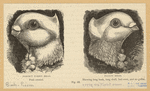 Image ID 821336