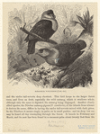Image ID 821338