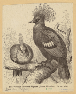 Image ID 821339