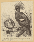 Image ID 821339