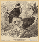 Image ID 821340