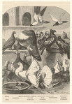 Image ID 821344