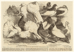 Image ID 821345