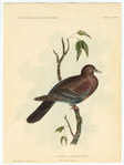 Image ID 821356