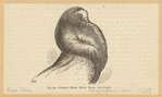 Image ID 821363