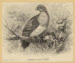 Image ID 821367
