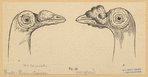 Image ID 821375