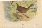 Image ID 821383