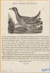 Image ID 821385