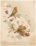 Image ID 821392