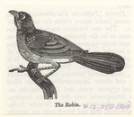 Image ID 821393