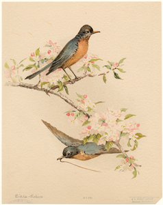 Image ID 821394
