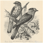 Image ID 821397
