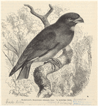 Image ID 821398