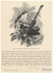 Image ID 821407