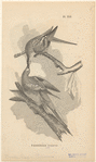 Image ID 821425