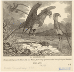 Image ID 821427