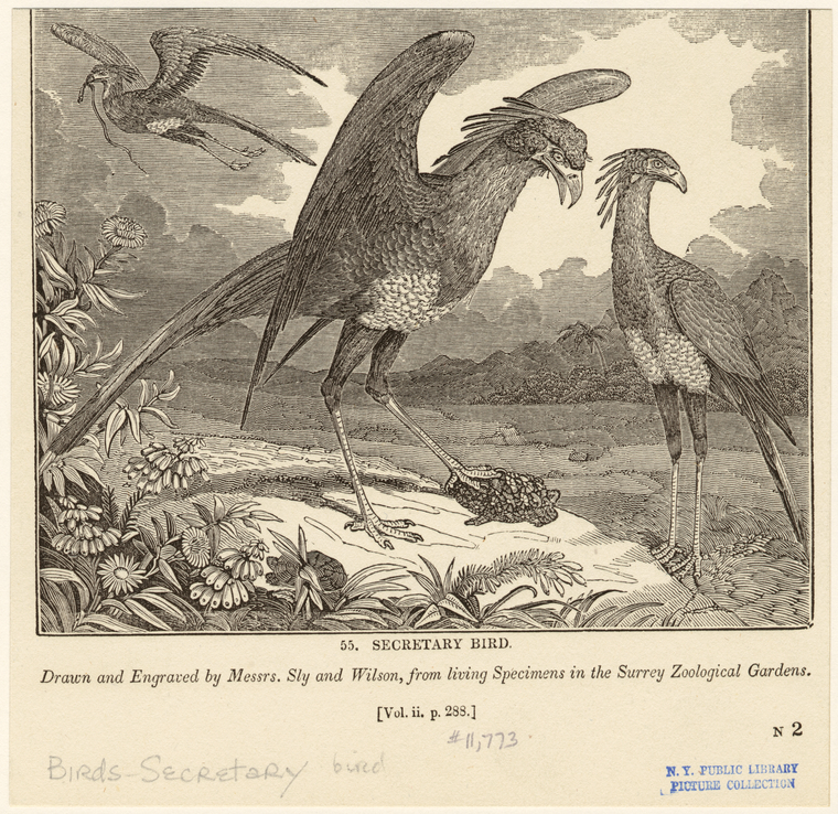 Image ID 821427
