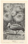 Image ID 821434