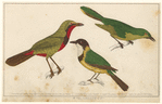 Image ID 821436