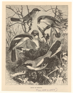 Image ID 821441