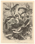 Image ID 821441
