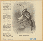 Image ID 821444