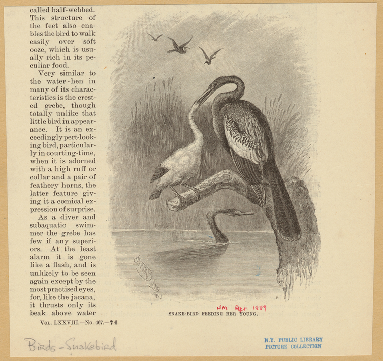 Image ID 821444
