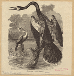 Image ID 821445