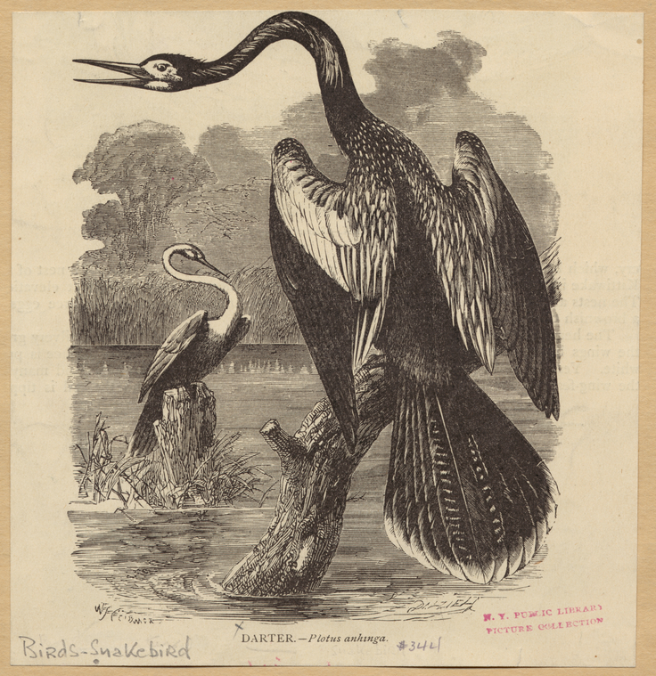 Image ID 821445
