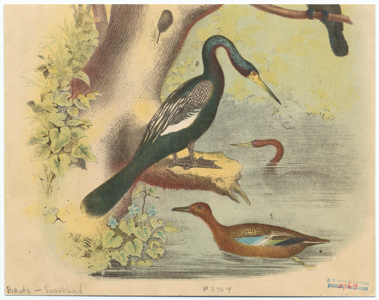 Image ID 821446
