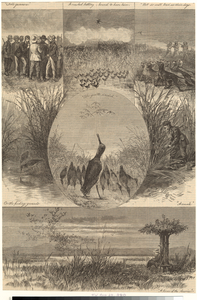 Image ID 821448