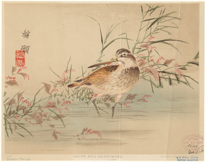 Image ID 821449